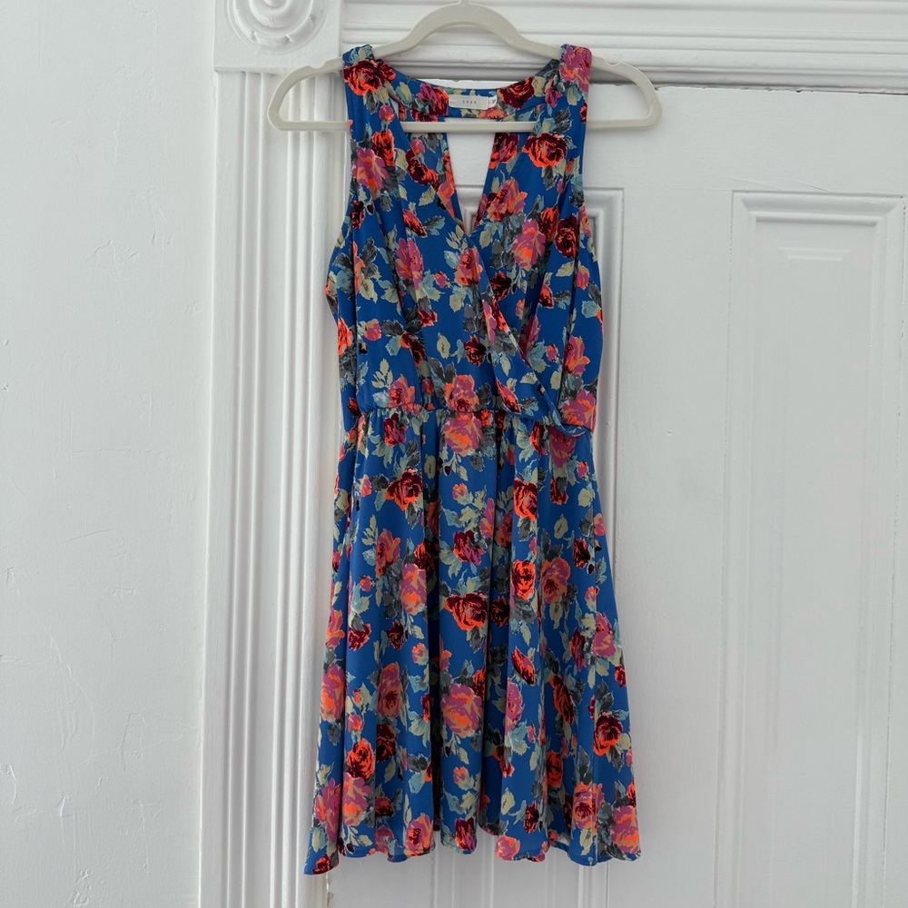 🦊 Lush Blue and Red Floral Mini Dress
